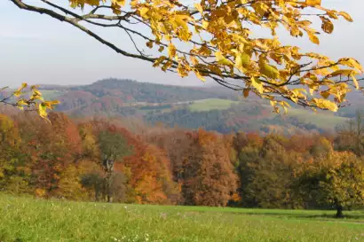 19_wolfhof_herbst.JPG