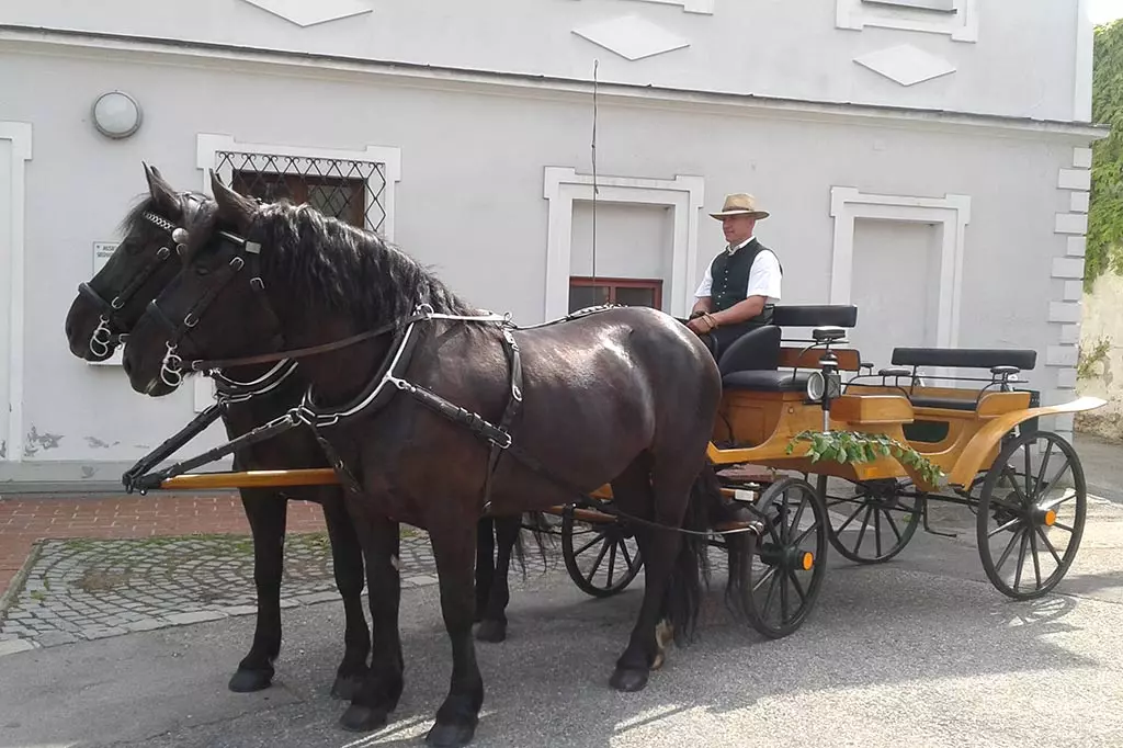 Gespannfahren Wolfhof